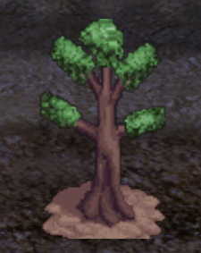 Plantação