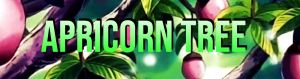 Apricornt.jpg